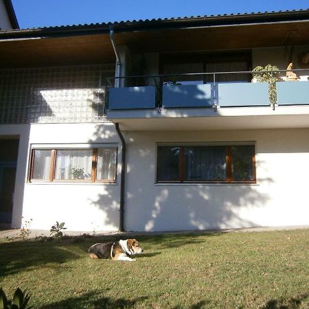 Ferienwohnung Roessler 马克多夫 外观 照片